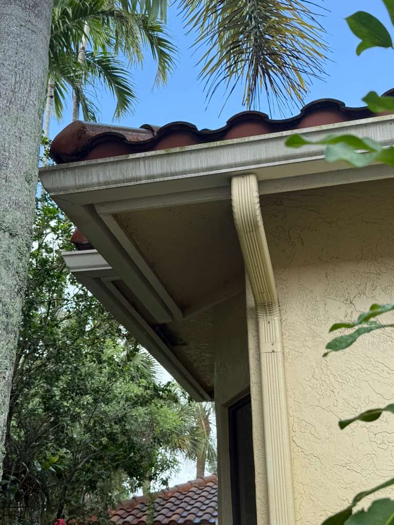 Driveway Pressure Cleaning - Before professional lawn care and landscaping service by The Fresh Feel in South Florida